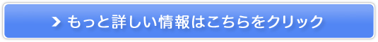 AIZT[rXShodo̔TCg